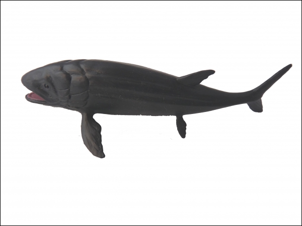 Fish Leedsichthys replica