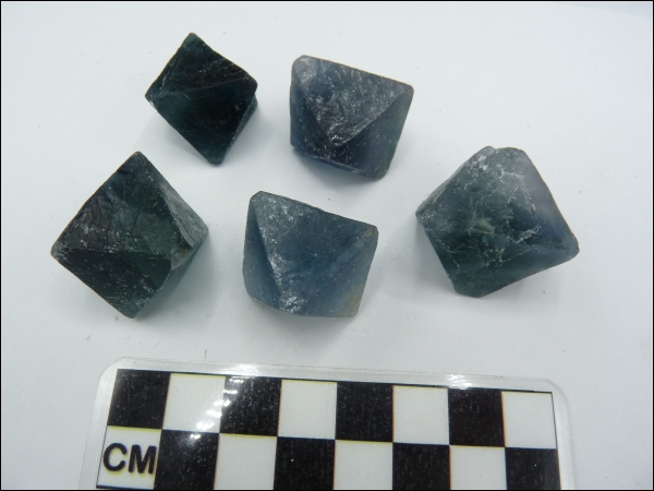 Fluoriet kristal blauw groot