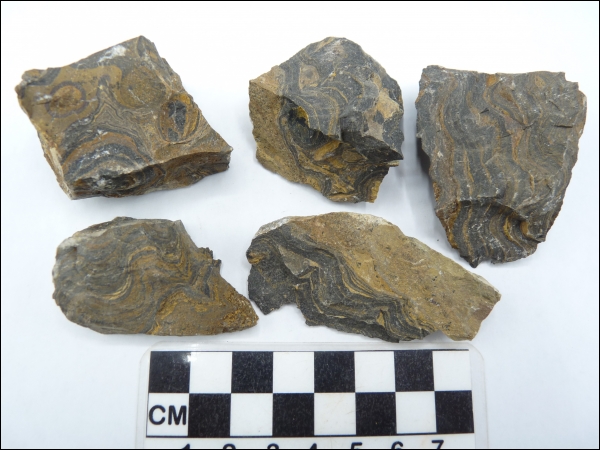 Stromatoliet Bolivia middel