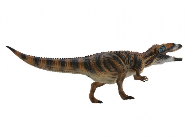 Model Carcharodontosaurus extra groot