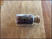 Bottle fossil middle Amber