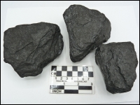 Sediment: Coal / Anthracite XL