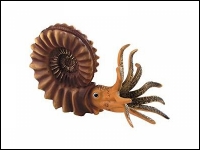 Ammonite Pleuroceras XL replica